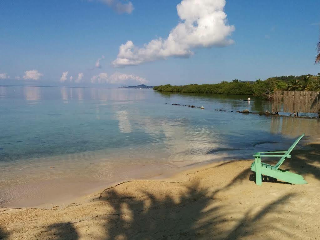 Las Palmas Beach Hotel Dixon Cove Buitenkant foto